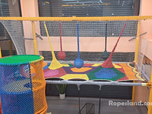 تارتن پروژه دو